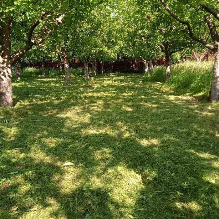 Cosit , tuns , curatare teren cu motocoasa !