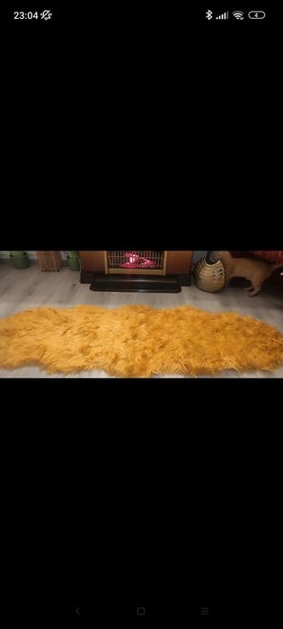 Blăniță aurie, nefolosita, cu eticheta,Ambia- Germania, model rar