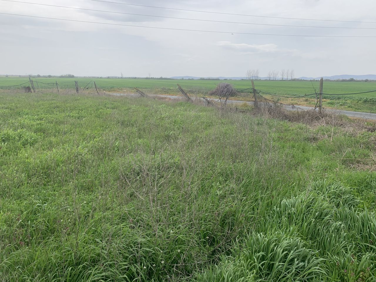 Продава се Парцел в с. Малко Кадиево, Област Стара Загора - 625 кв.м за 40 €/кв.м - Снимка #3