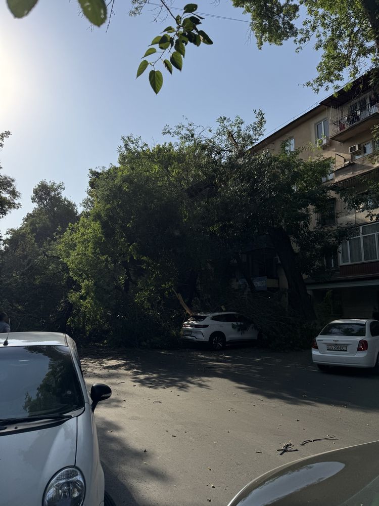 Srochno sotiladi 4 xonali Maxtumkuli kochasi 95m2 yangi kvartira