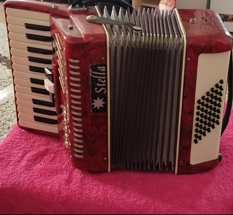 Acordeon de Vinzare