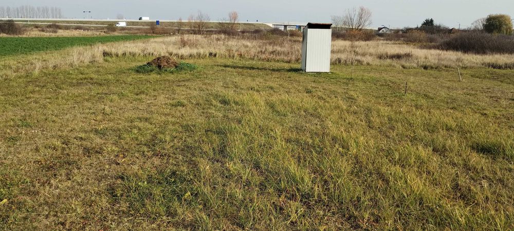 Teren 20 ari cu gradina și cabana langa centura Satu Mare.