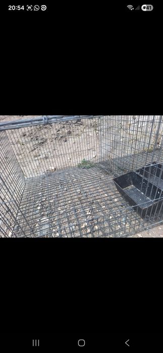 Cusca iepuri ,pasari