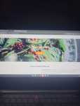 fac websituri html