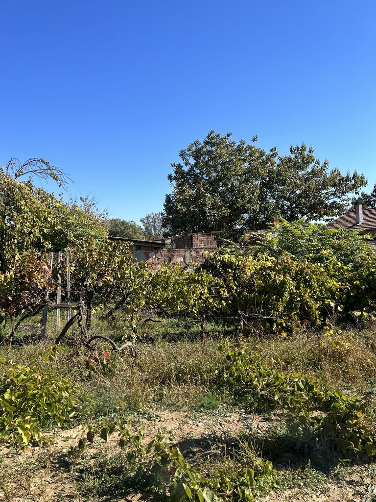 Продава се Парцел в с. Оряховица, Област Стара Загора - 1210 кв.м за 13 €/кв.м - Снимка #1