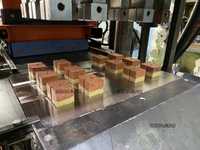 Bricket-80AT- пресс для производства технопланктона и макухи