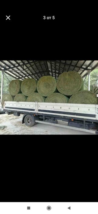 Рулонни бали-люцерна,сено и слама