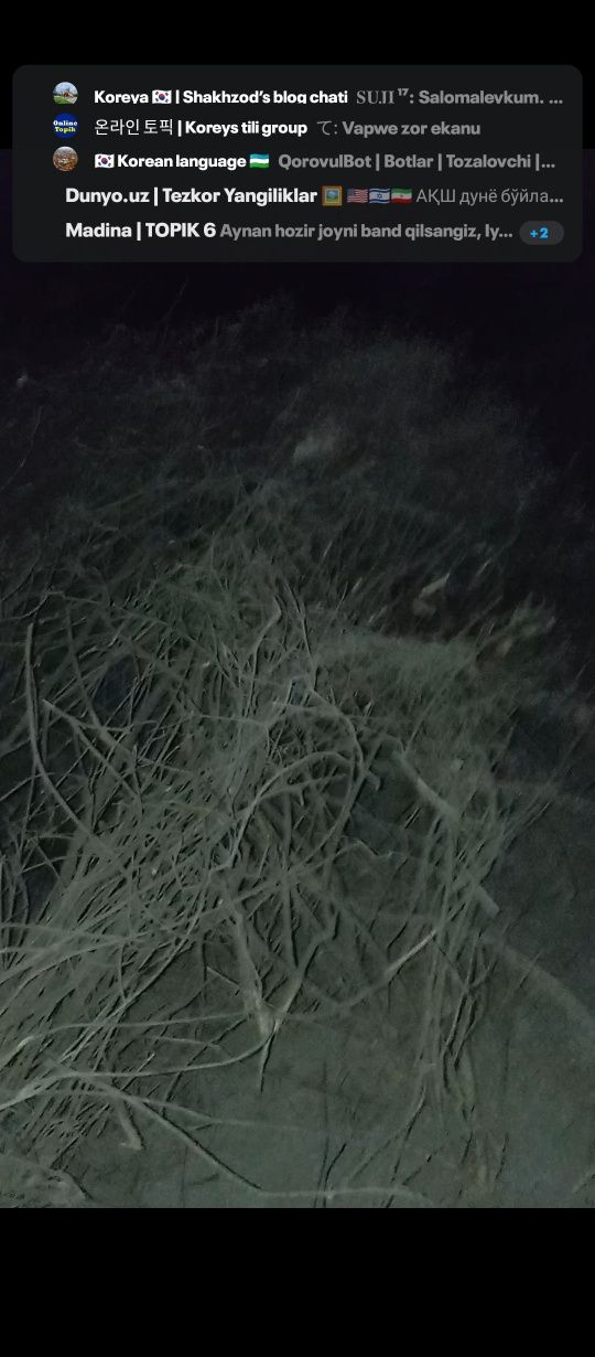 Tekin otin. Древесина Отдам не даром