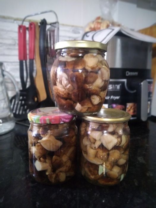 Валуи продам солёные