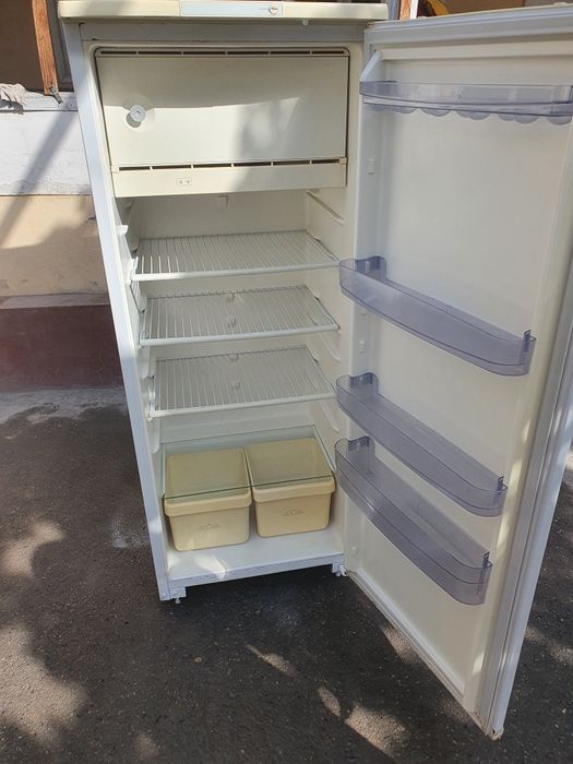 Muzlatkichlar avangatd