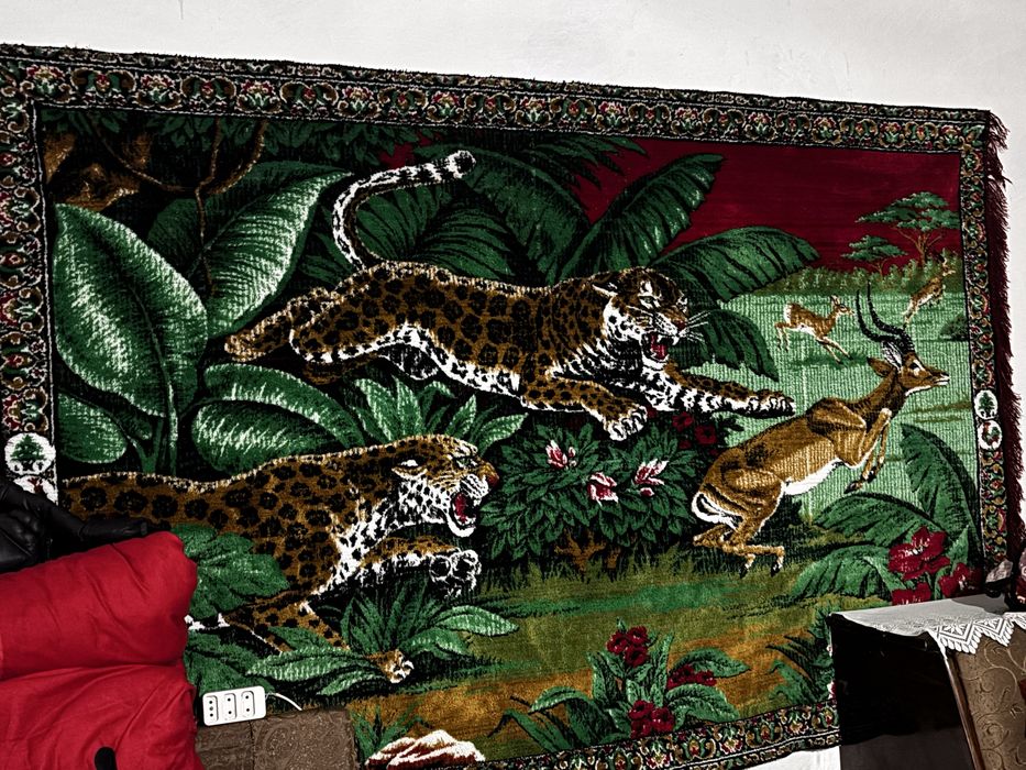 Carpeta vechee de poveste