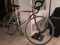 Semicursiera Giant Speeder