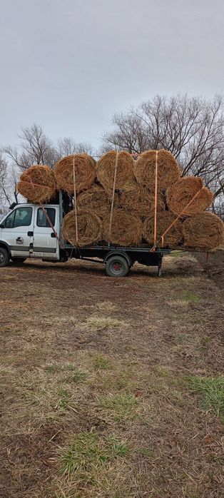 Vând role de lucernă