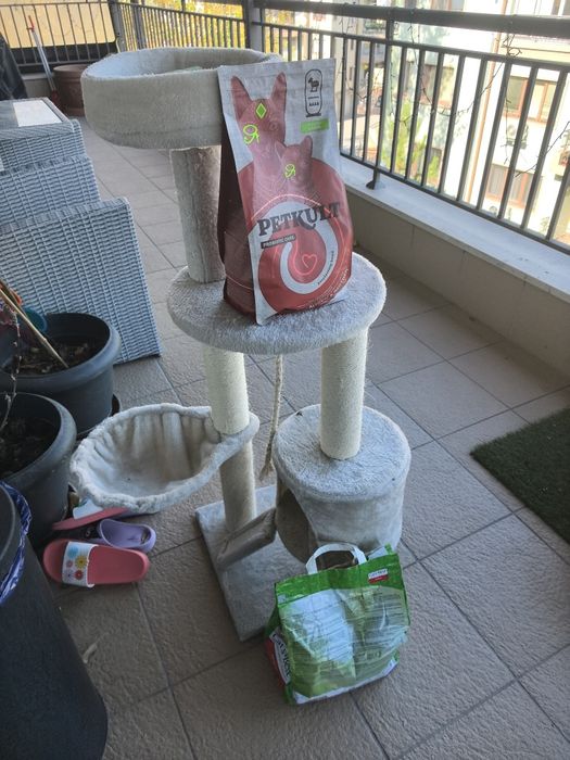 тоалетна за котка