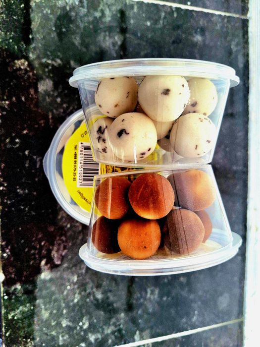 Qurt optomga magazinlaga