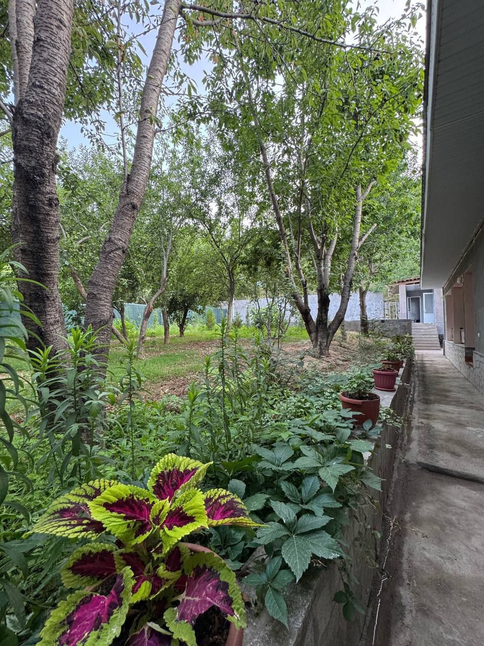Humson dacha oilaviy 8 kishilik Уютная дача в Хумсане чуть дальше Чарв