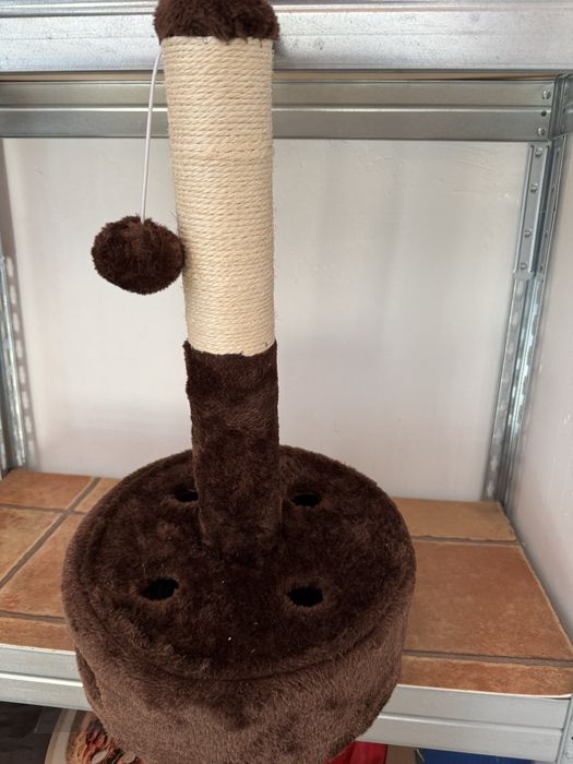 Vand accesorii pisica  NOI dispusa la oferte