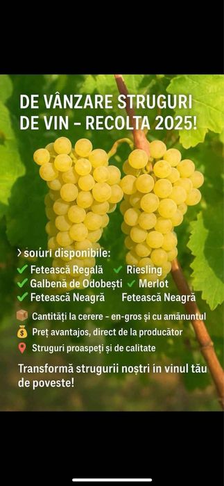 Vand struguri de vin