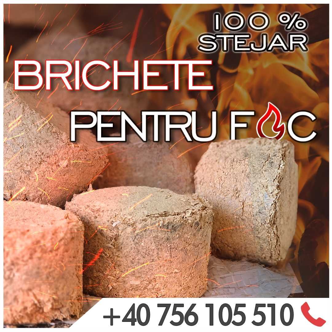 Brichete Pentru Foc (100% Stejar)