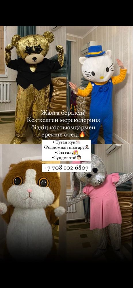 Аниматор 4 кастюм арзан бағада