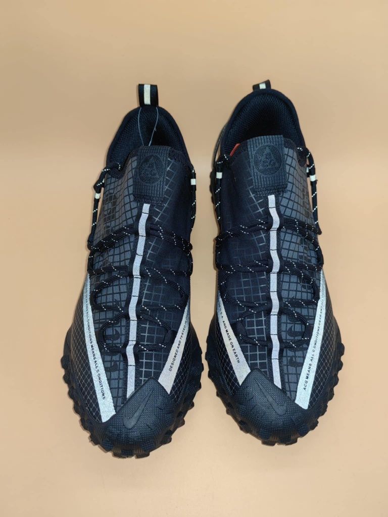 Nike ACG Mountain FLY Low