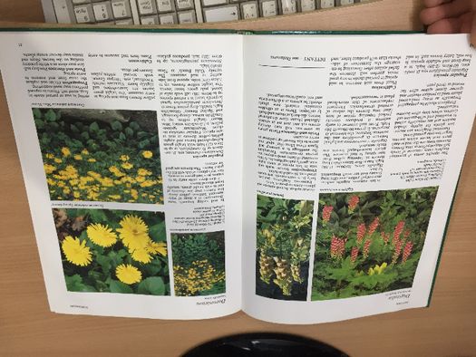 Цветна Енциклопедия - A-Z of perennials -Successful Gardening