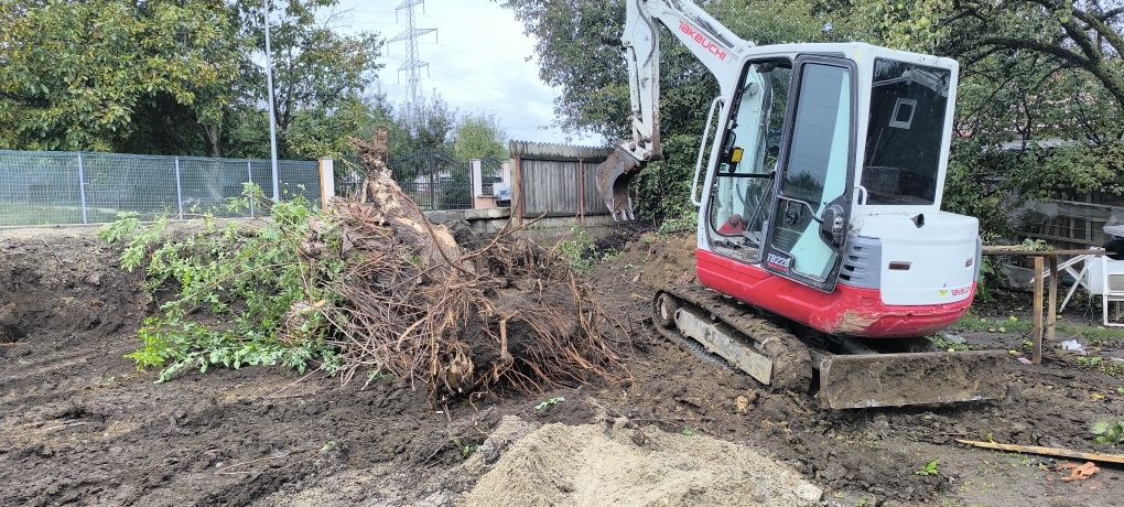 Inchiriez Miniexcavator/încărcător/Basculanta de 6.5T  exc