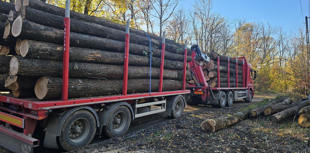 Lemn de foc uscat si verde