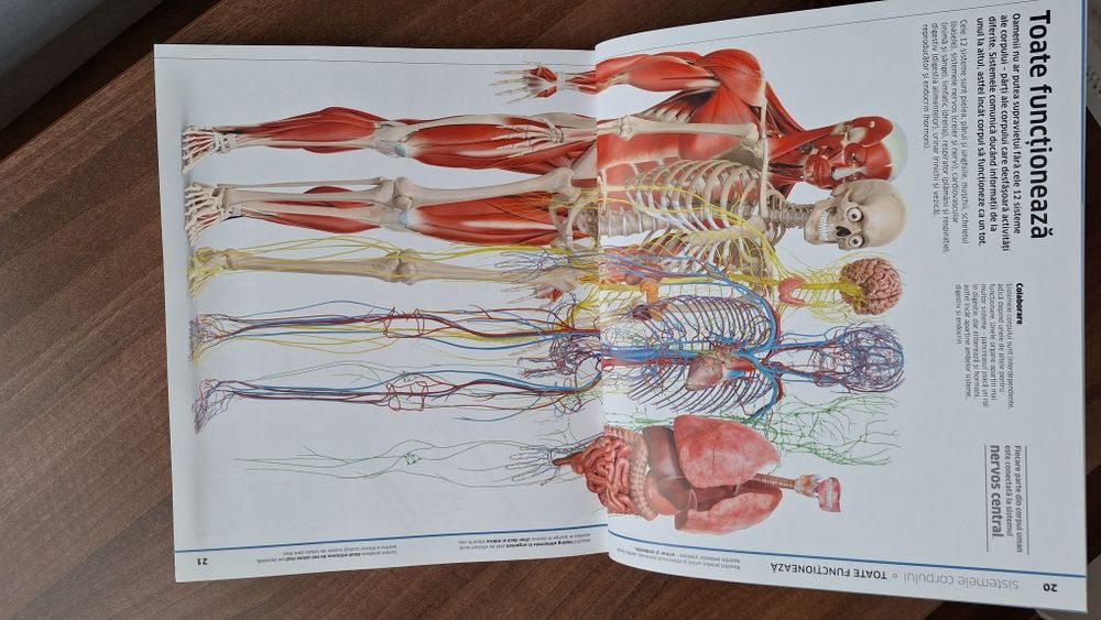 Enciclopedia Corpul uman