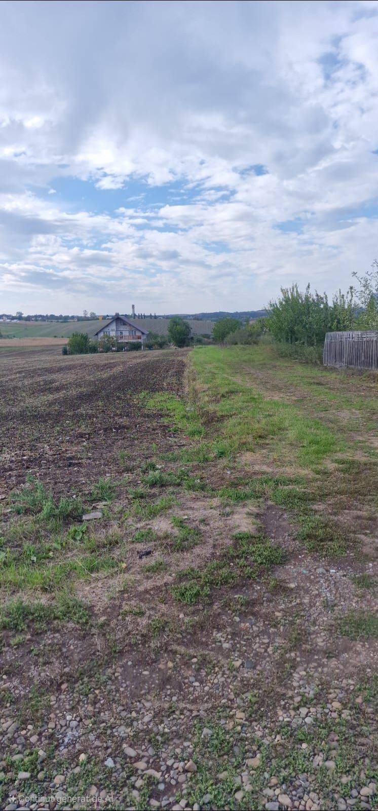 Teren in Dorohoi