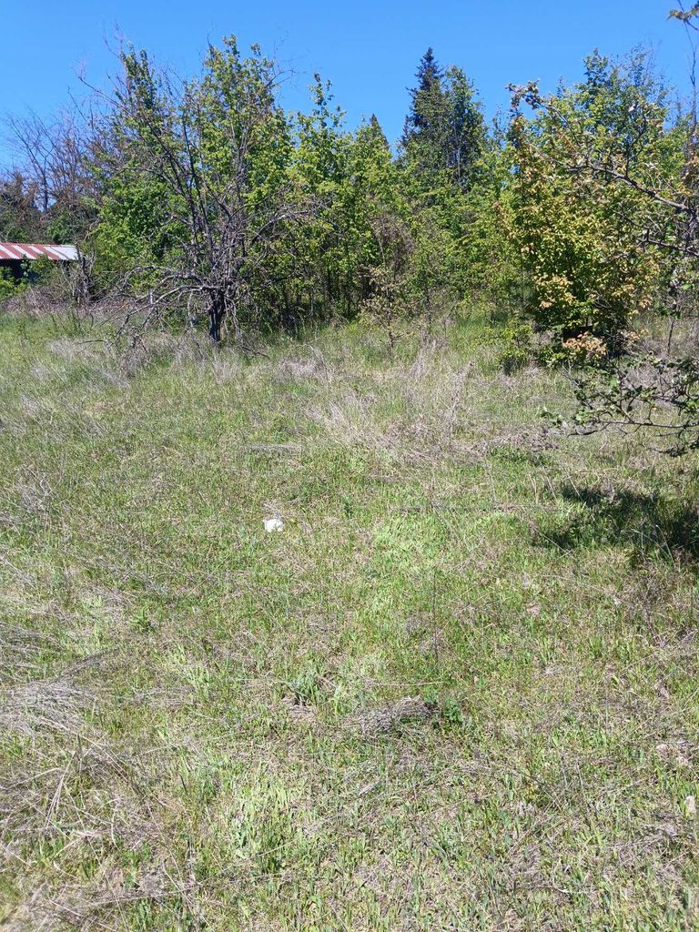 Продава се Парцел в Разград, Промишлена зона - Запад - 1700 кв.м за 12 €/кв.м - Снимка #3