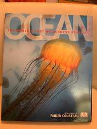 Enciclopedie scolara album  Ocean editura DK