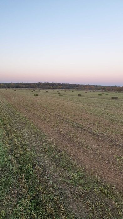 Vand baloti amestec de iarba cu lucerna