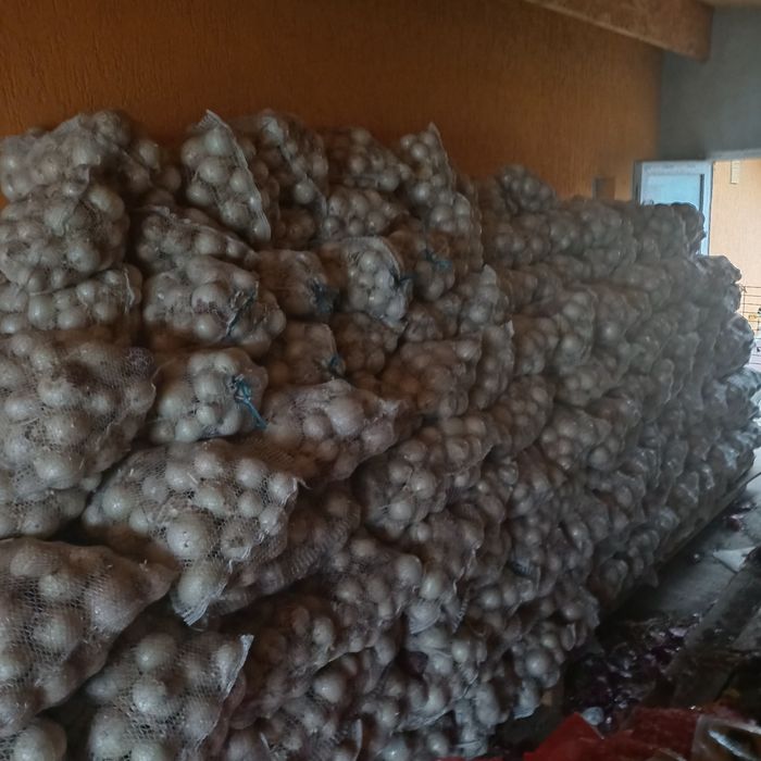 Vând ceapă albă și ceapă roșie