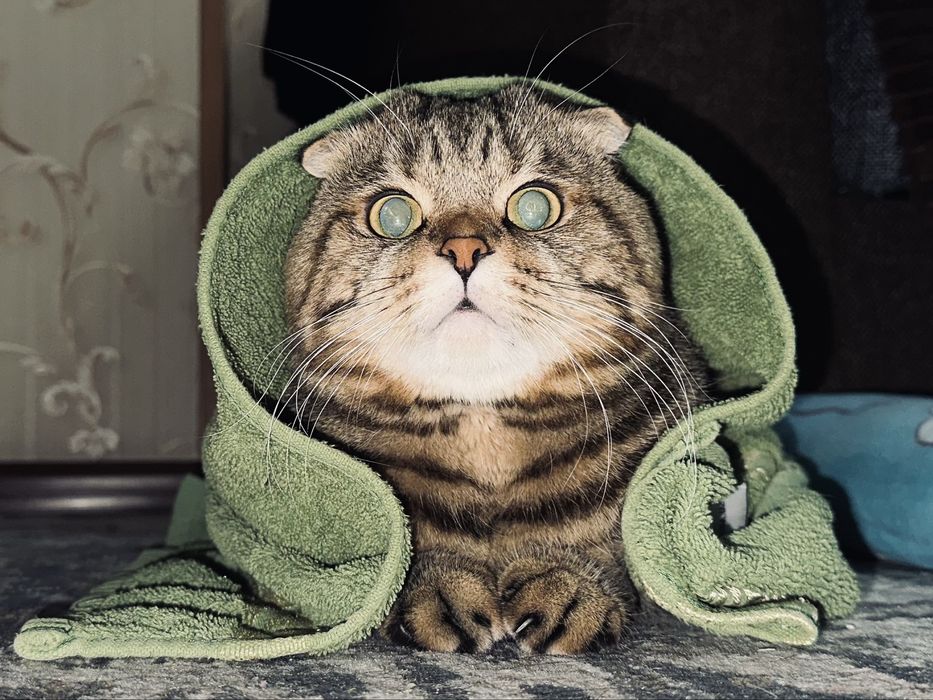 Киз бола мушу кере вязкага. (Мушу сотилмиди)