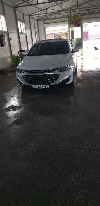 Molibu 2 Yili 2019 yurgani 49500