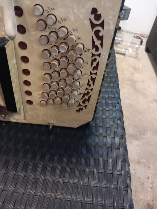 Bandoneon vechi adus din Germania