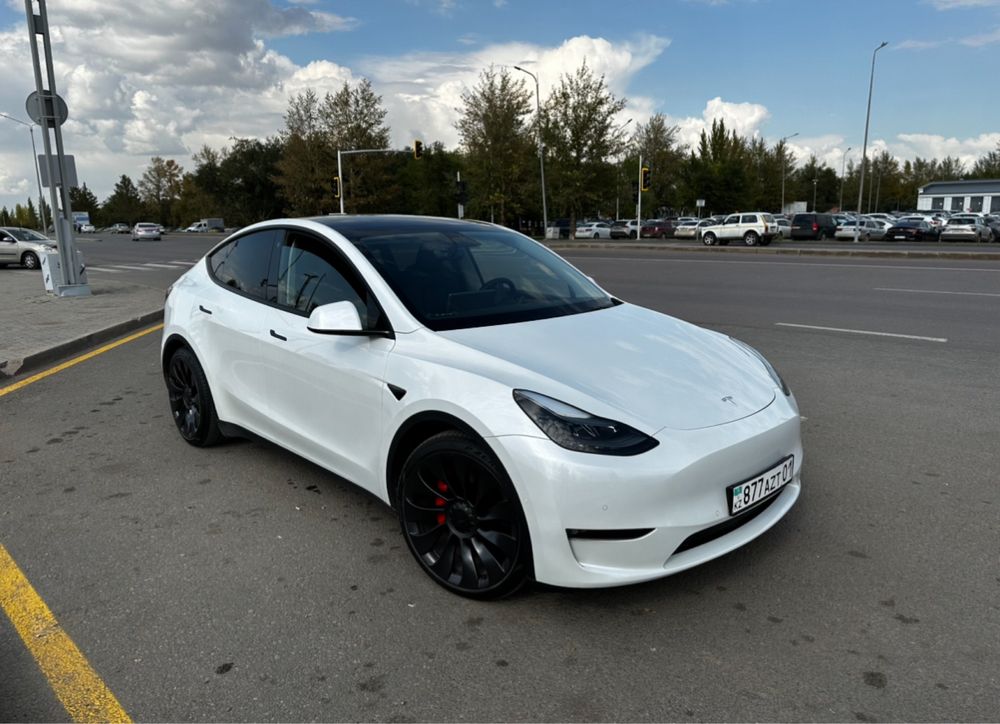 Tesla Model Y Performance