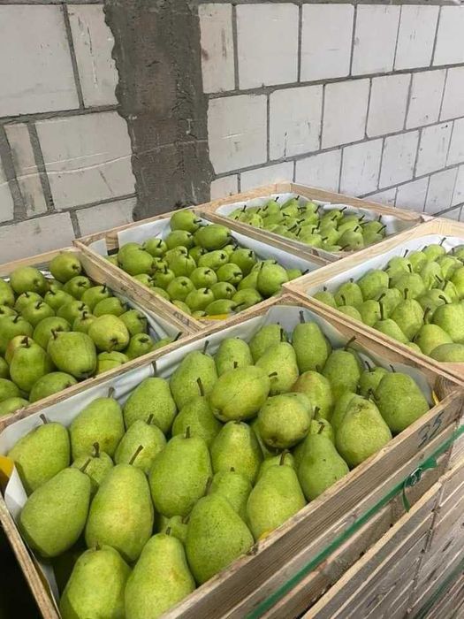 Pere frumoase și proaspete, diferite ambalaje și soiuri!