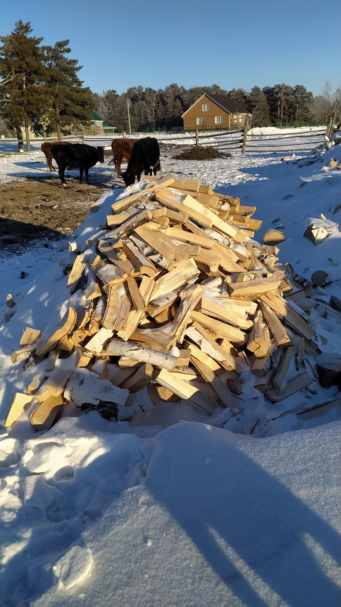 Продам дрова  березовый колотые 6 куб/90000.тенге