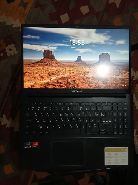 Asus vivobook go