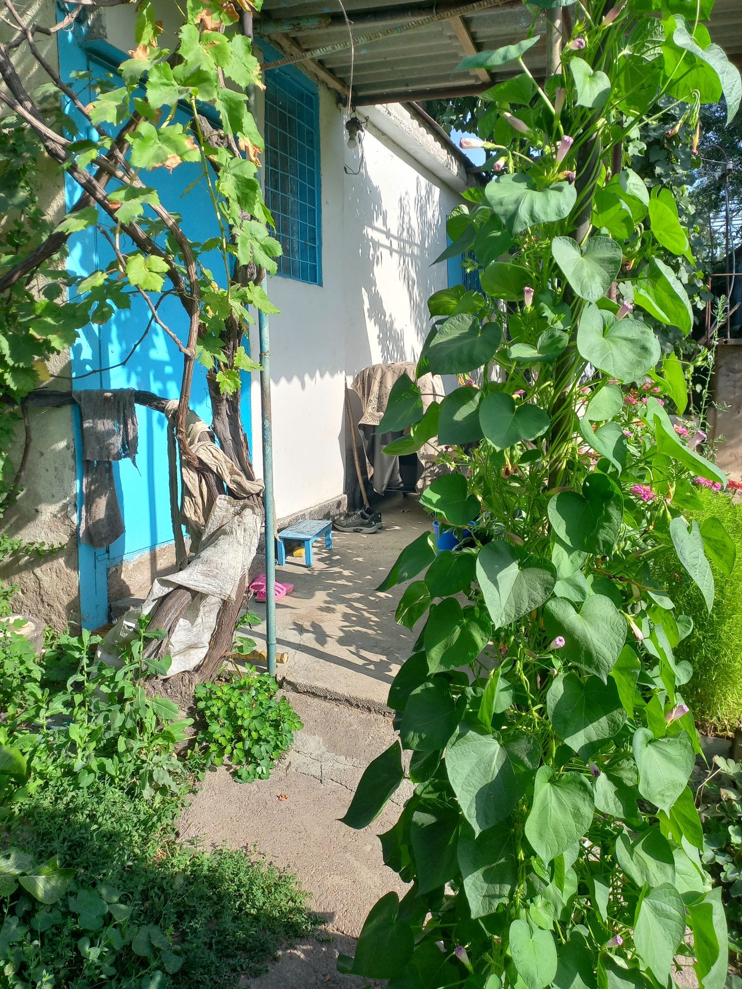 Продаётся дача. Ангрен