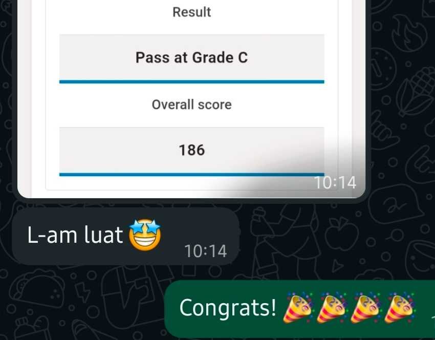 Engleză: profesor nivel nativ, exp. internațională, doctorat meditații