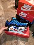 Nike air max tn blue