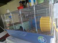 Hamsteri cu tot cu cusca si accesorii