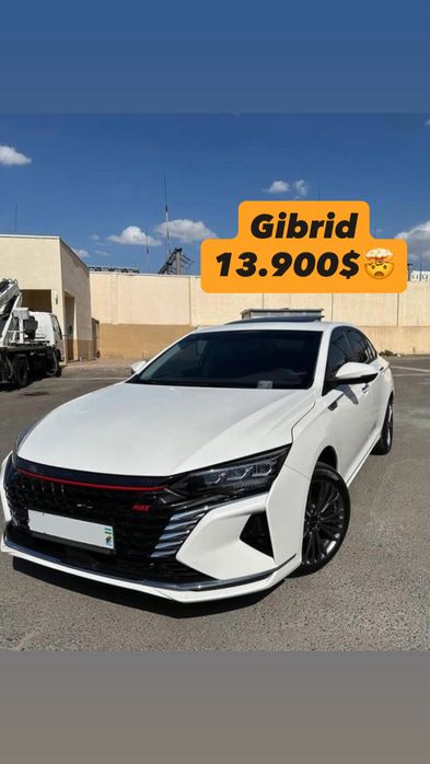 Dong feng Aeolus 60 Max 2023 yil Gibrid 4 litr rasxod