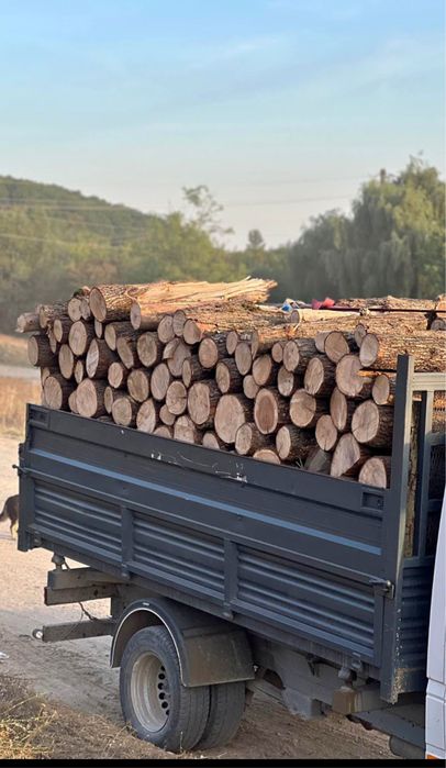 Lemne de foc 330 lei