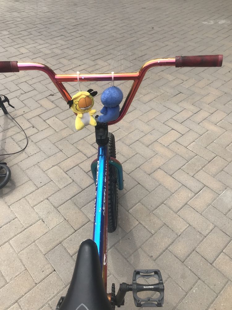 Bmx GESTALT street