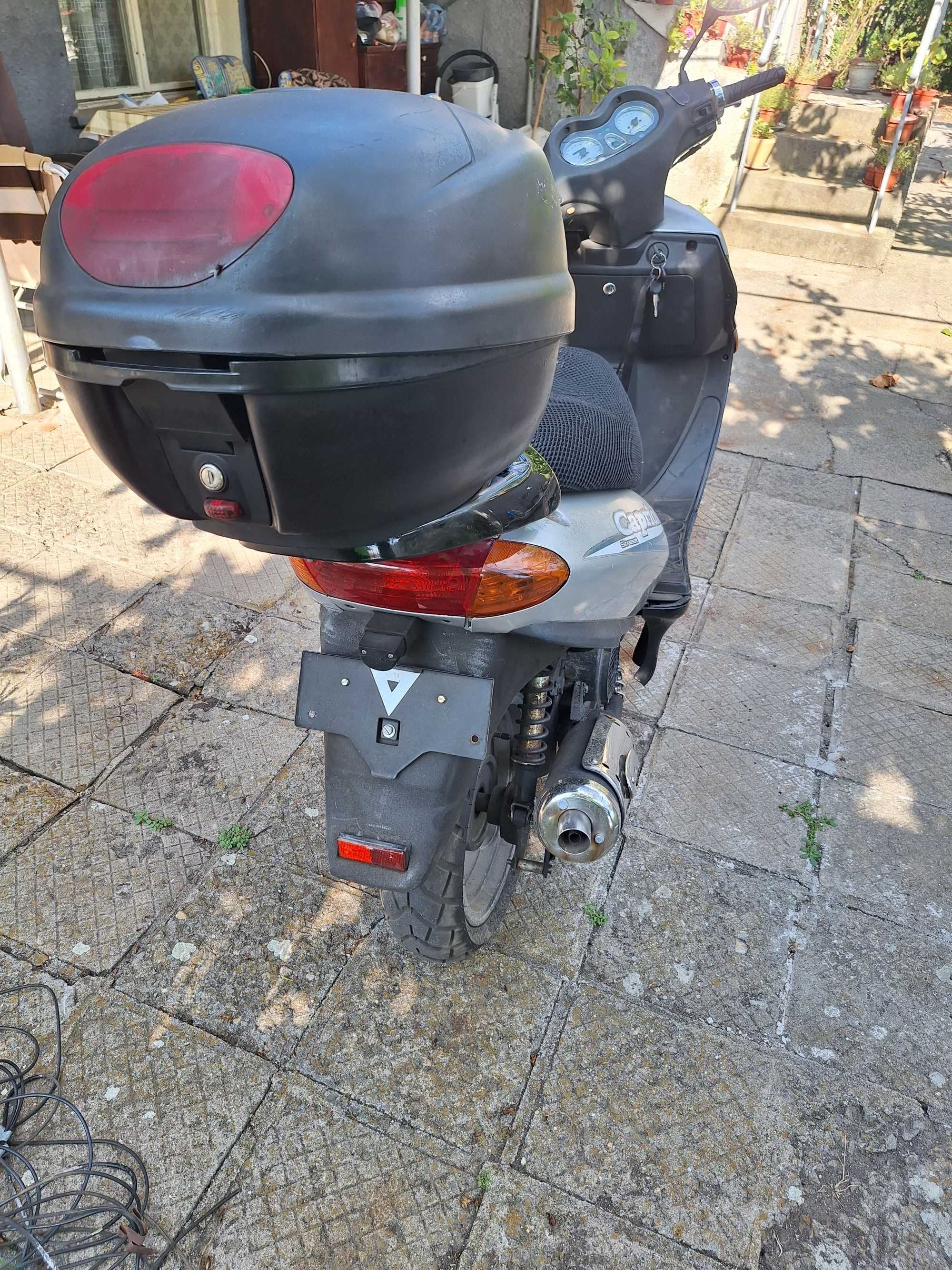 Rex capriolo 125