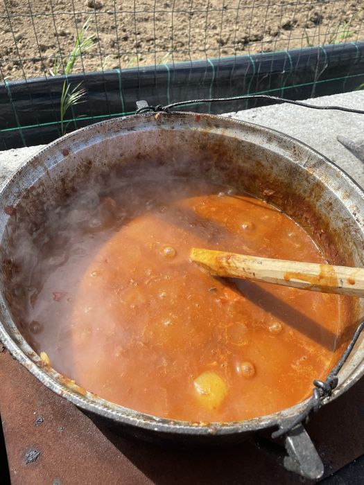 Toyota Hilux 2010 2.5 D4D ^ Sistem dezinsectie,dezinfectie,deratizare